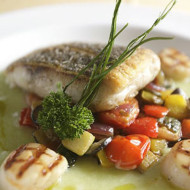 Corvina sobre apio nabo